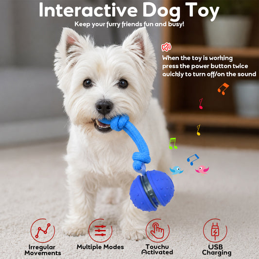 BENTOPAL Electric Dog Chew Toy