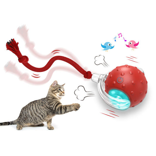 Bentopal Silicone Interactive Cat Toy Ball