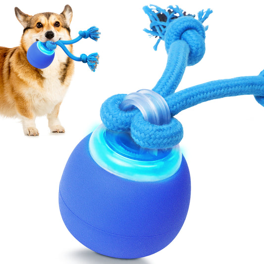 BENTOPAL Interactive Dog Toy