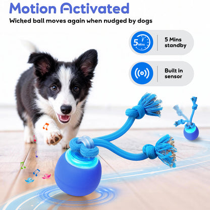 BENTOPAL Interactive Dog Toy