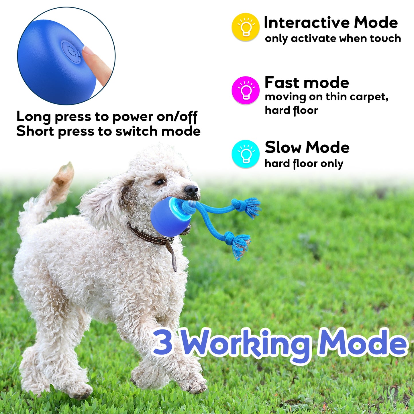 BENTOPAL Interactive Dog Toy