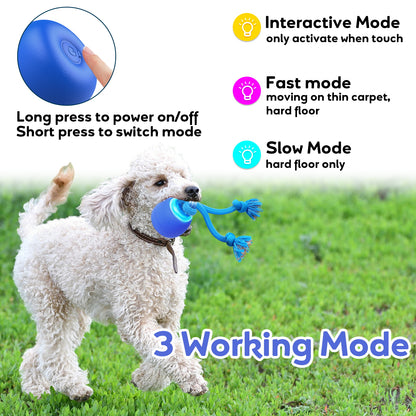 BENTOPAL Interactive Dog Toy