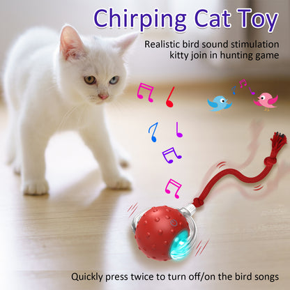 Bentopal Silicone Interactive Cat Toy Ball