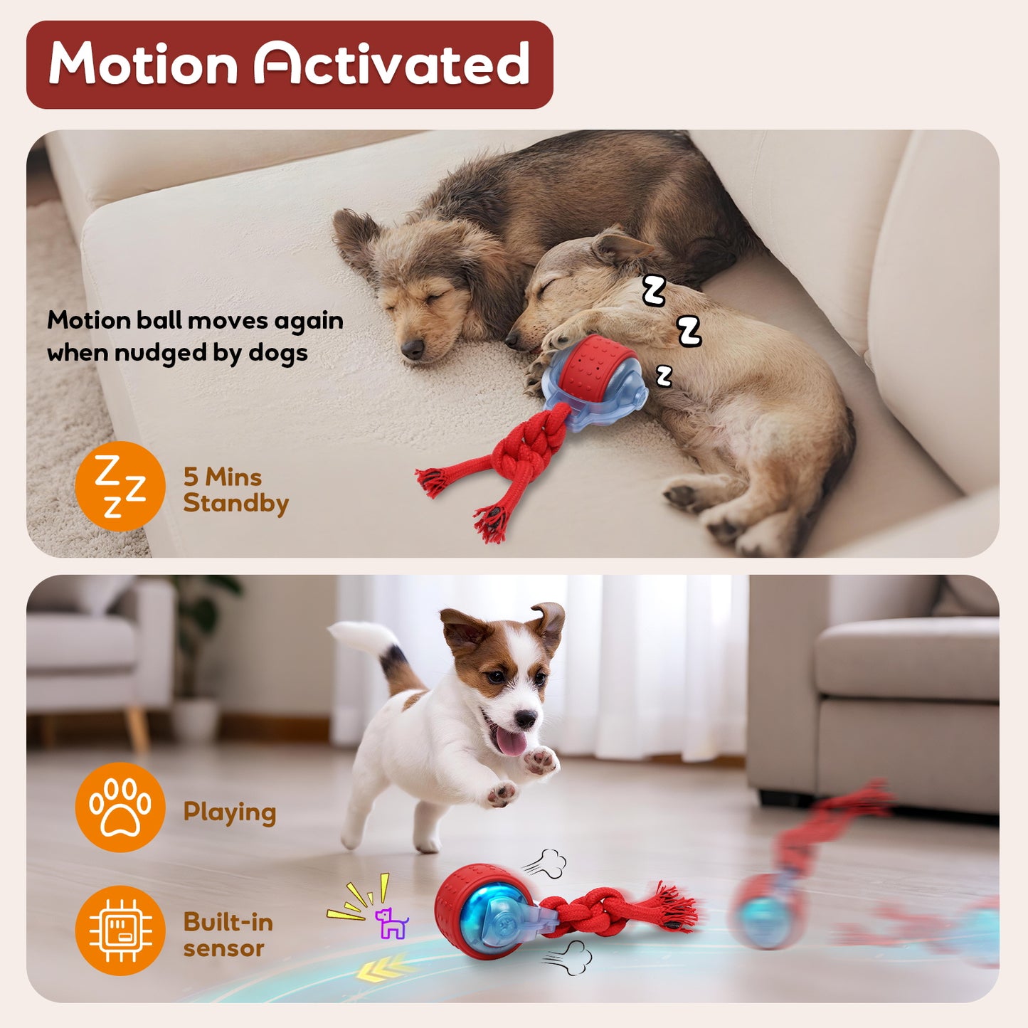 Smart Dog Toys