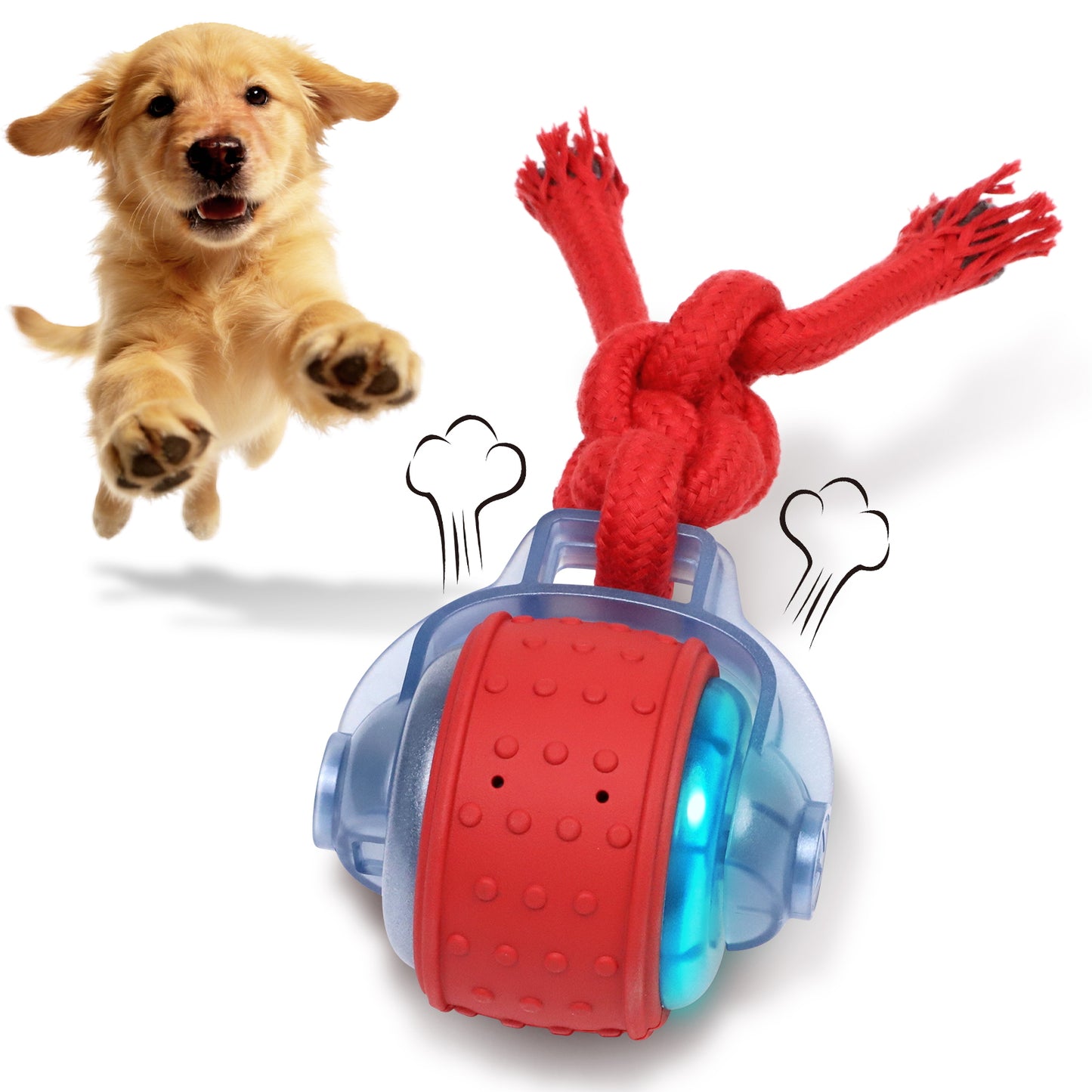 Smart Dog Toys