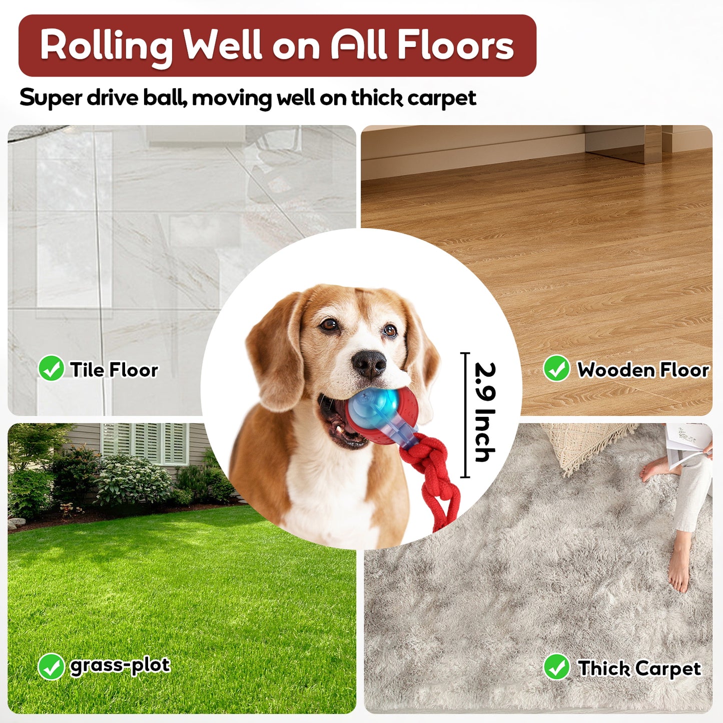 Smart Dog Toys