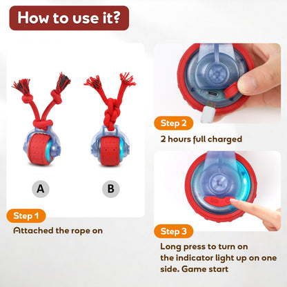 Smart Dog Toys