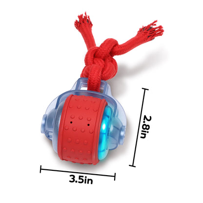 Smart Dog Toys