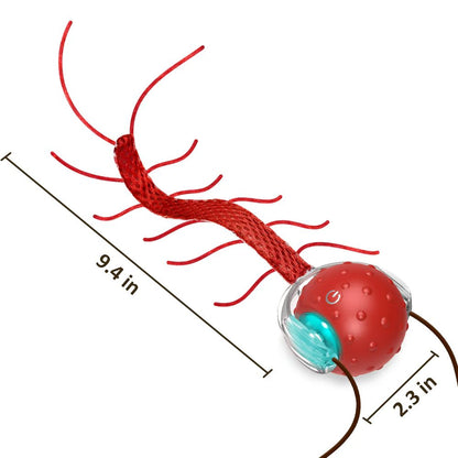 Bentopal Interactive Cat Toy Centipede Ball